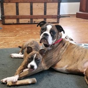 Meet your Posher, Andrea